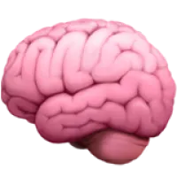 Brain