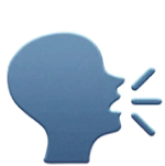 Book icon